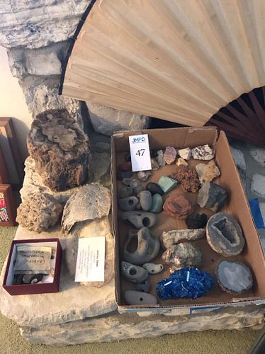 Lot #47 (1 of 8)