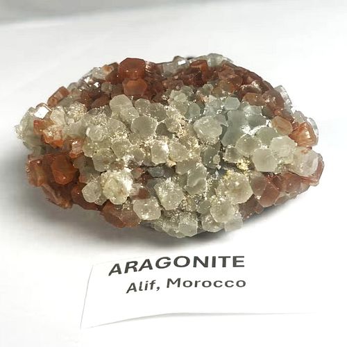 Lot #8 (1 of 4)