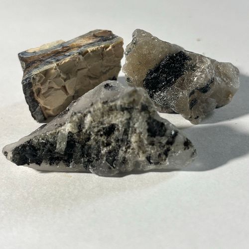 Lot #72 (1 of 7)