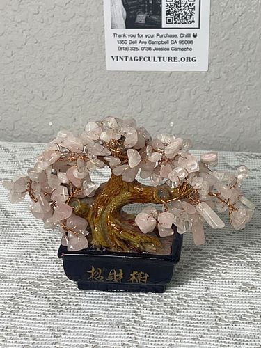 Lot #162 (1 of 6)