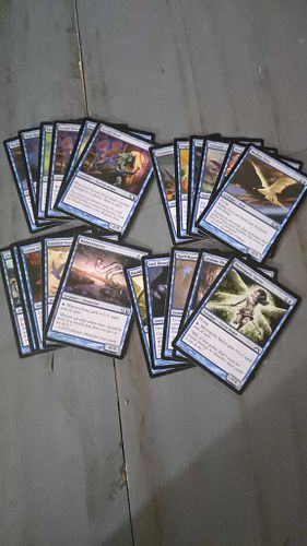 Lot #43 (1 of 3)