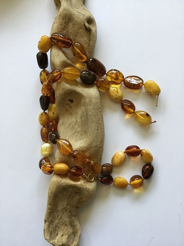 Lot #25 (1 of 4)