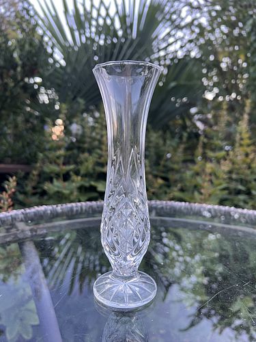 Lot #25 (1 of 6)