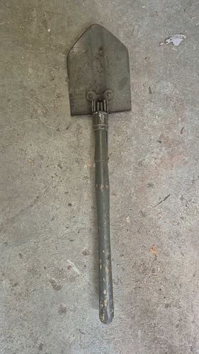 Lot #43 (1 of 11)