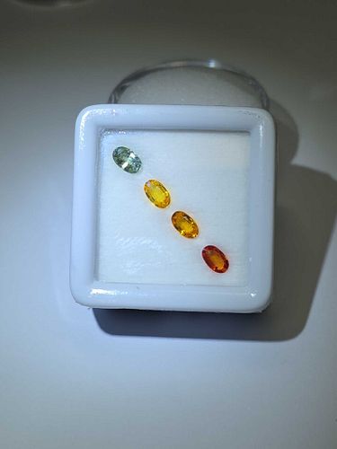 Lot #42 (1 of 6)