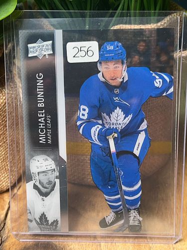 Lot #256 (1 of 2)