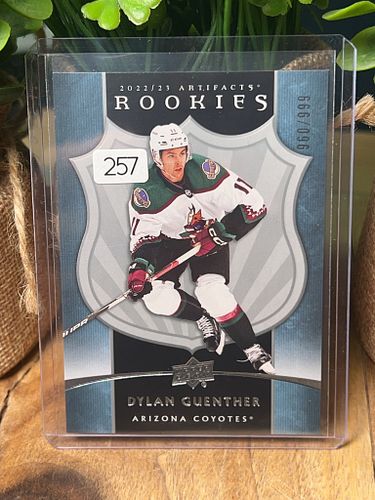 Lot #257 (1 of 3)