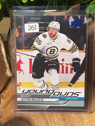 Lot #261 (1 of 3)