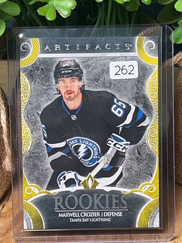 Lot #262 (1 of 2)