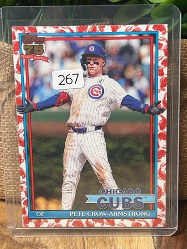 Lot #267 (1 of 2)