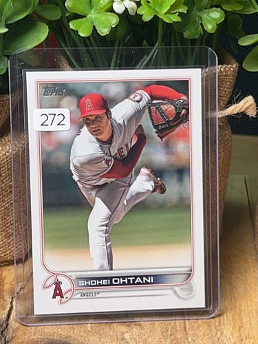 Lot #272 (1 of 2)