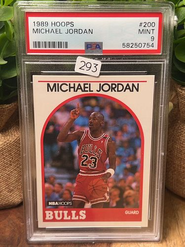 Lot #293 (1 of 2)