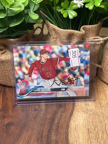 Lot #305 (1 of 3)