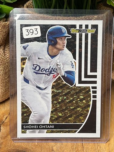 Lot #393 (1 of 2)