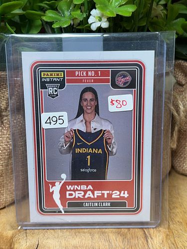 Lot #495 (1 of 2)