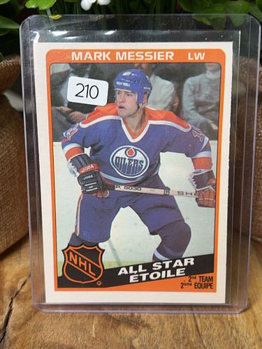 Lot #210 (1 of 2)