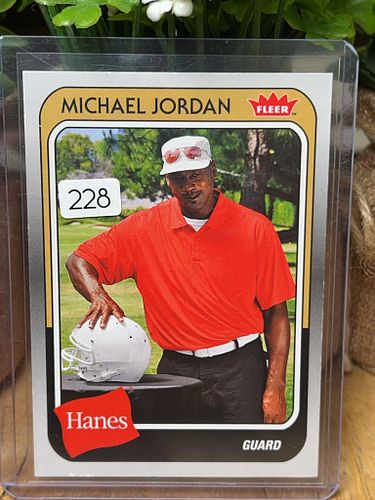Lot #228 (1 of 2)