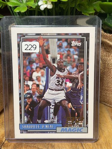 Lot #229 (1 of 3)