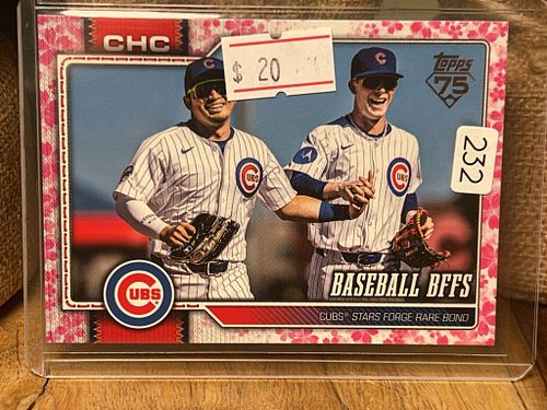 Lot #232 (1 of 2)