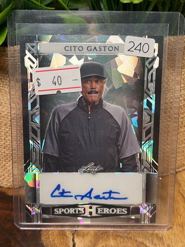 Lot #240 (1 of 3)