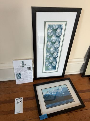 Lot #572 (1 of 14)