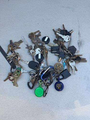 Lot #34 (1 of 7)