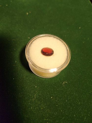 Lot #24 (1 of 6)