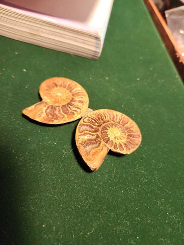 Lot #94 (1 of 6)