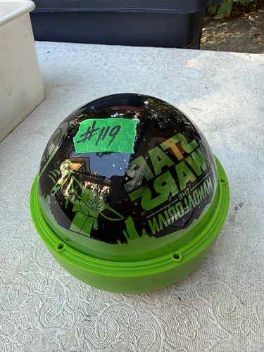 Lot #119 (1 of 2)