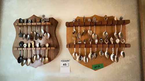 Lot #45 (1 of 12)