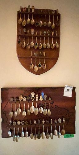 Lot #48 (1 of 19)