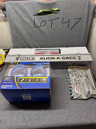 Lot #47 (1 of 8)