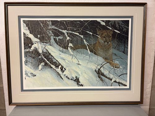Lot #699 (1 of 11)