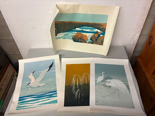 Lot #647 (1 of 16)