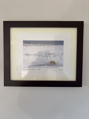 Lot #22 (1 of 3)