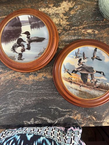 Lot #74 (1 of 5)