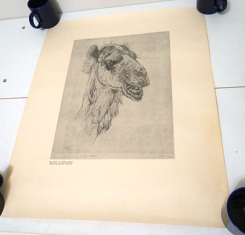 Lot #23 (1 of 4)