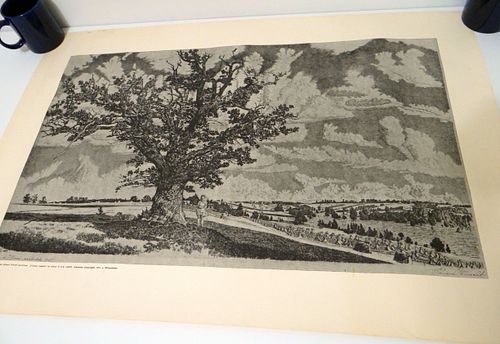 Lot #24 (1 of 4)