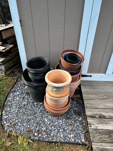 Lot #239 (1 of 6)