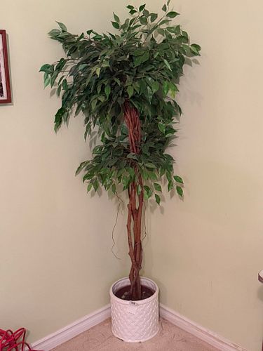 Lot #48 (1 of 6)