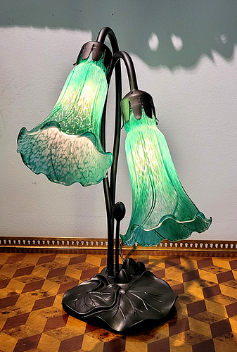 Lot #19 (1 of 5)