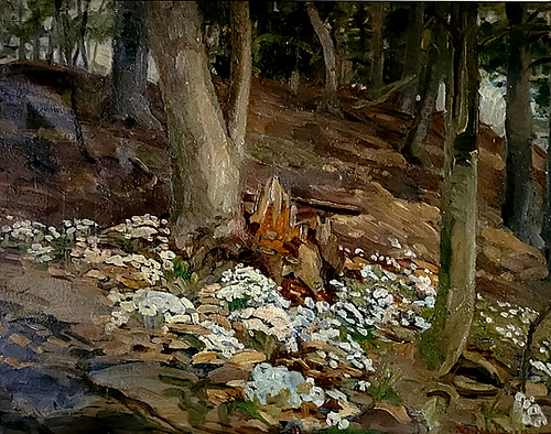 Lot #24 (1 of 7)