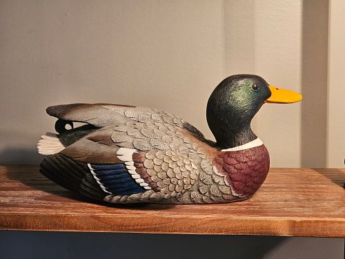 Lot #71 (1 of 11)