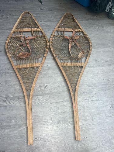 Lot #43 (1 of 13)
