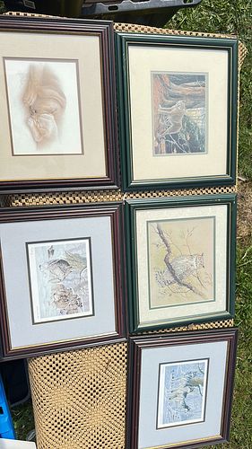 Lot #54 (1 of 7)