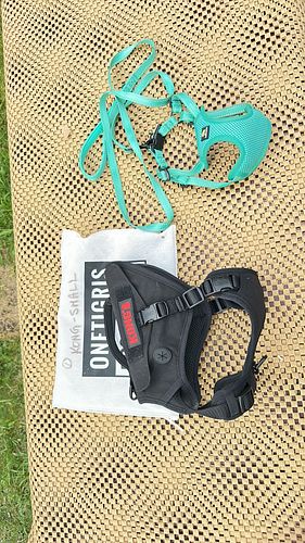 Lot #57 (1 of 6)