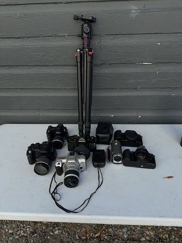 Lot #672 (1 of 14)