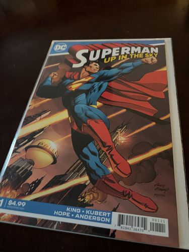 Lot #47 (1 of 2)