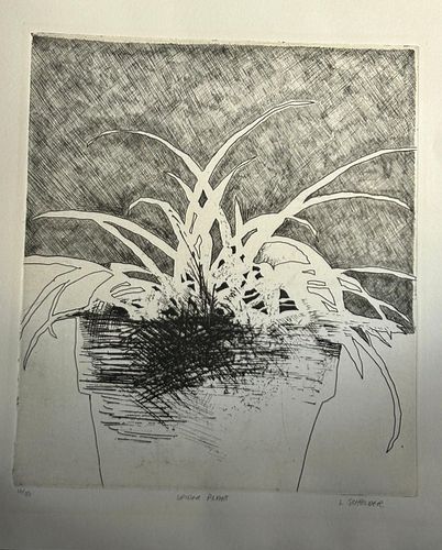 Lot #55 (1 of 5)