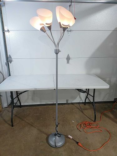 Lot #372 (1 of 6)